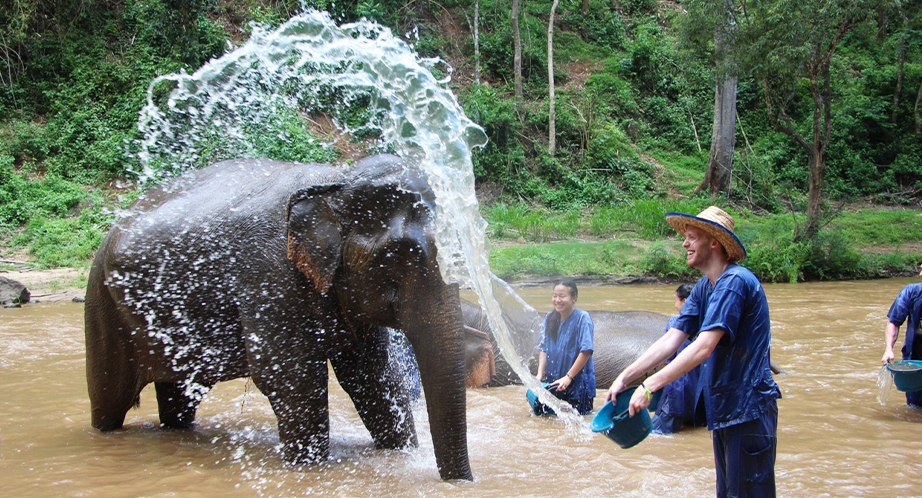 Chiang Mai Elephant camp