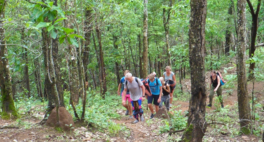 Hiking Thailand Chiang Mai