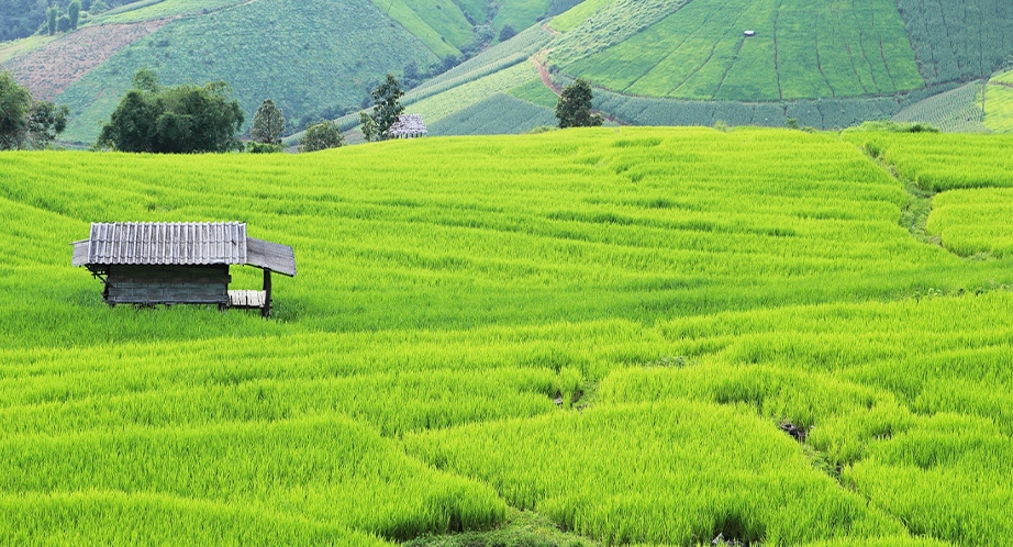 Chiang Mai - Thailand