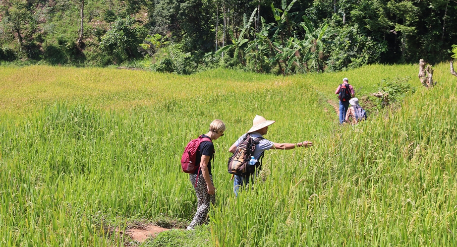 922-mai-chau-vietnam-4