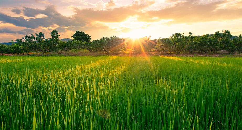 922-mai-chau-vietnam-5