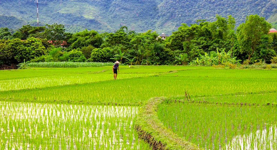 922-mai-chau-vietnam