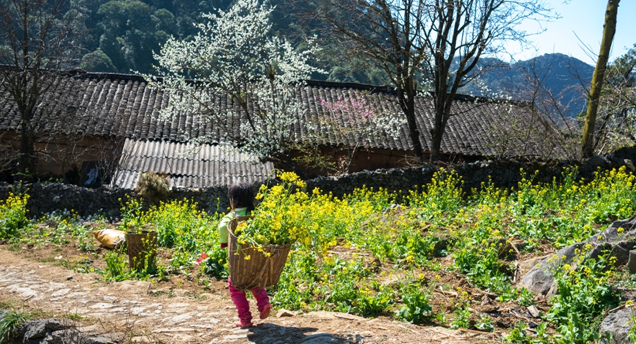 village-a-ha-giang