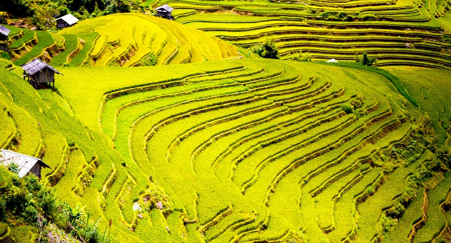 922-sapa-vietnam-1