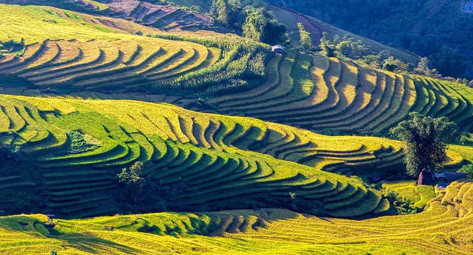 922-sapa-vietnam-2