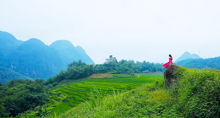 Terraced rice fields in Pu Luong