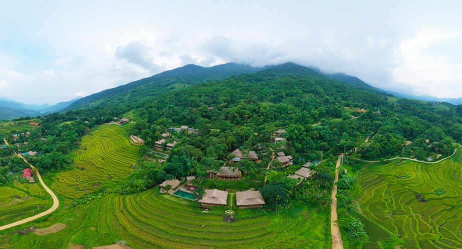 Terraced rice fields in Pu Luong