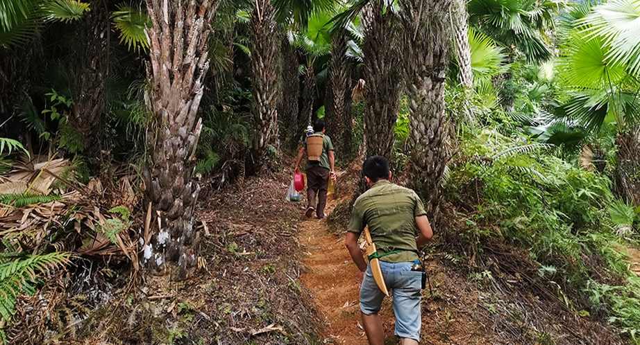 Trekking in Pu Luong