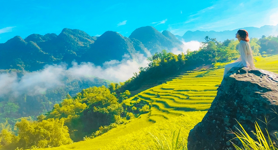 Terraced rice fields in Pu Luong