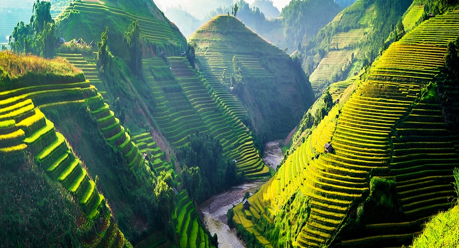 Terraced rice fields in Sapa