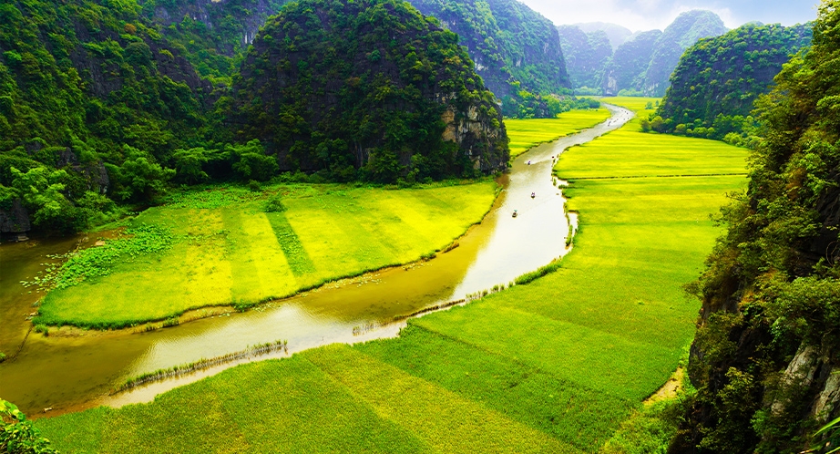 Sampan cruise in Tam Coc (Ninh Binh)