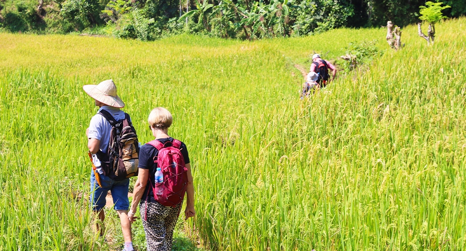 Trekking in Mai Chau Valley