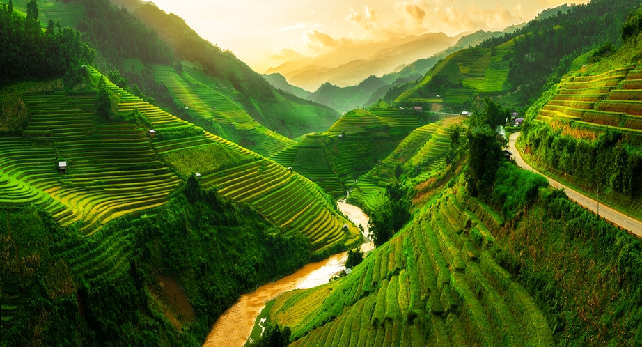 Terraced fields in Sapa