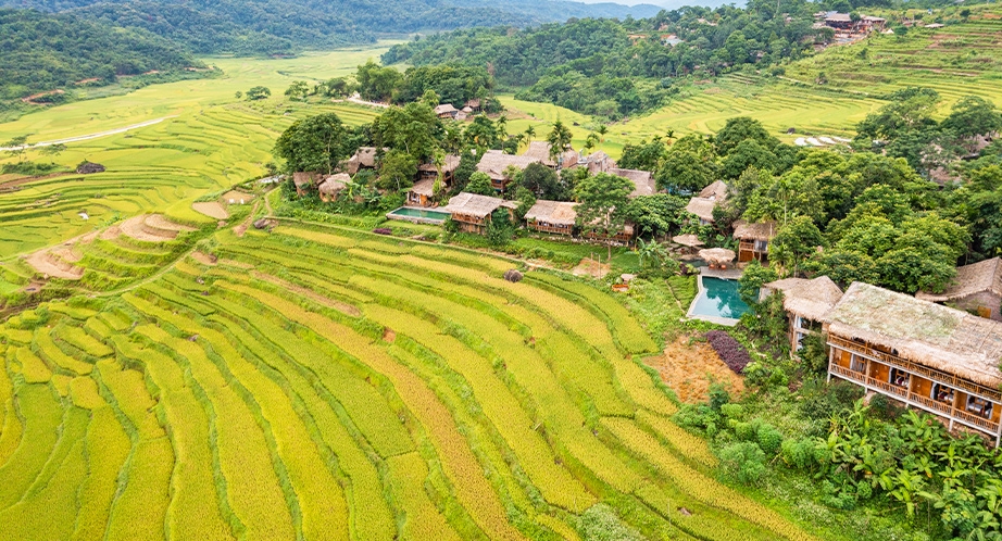 Terraced rice fields in Pu Luong