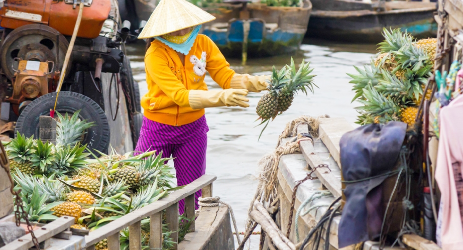 Floating Market in Mekong River