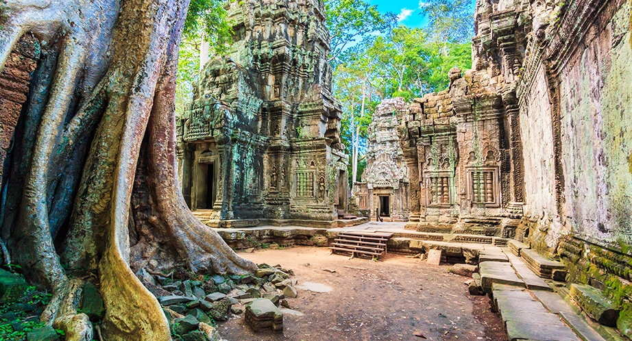 Ta Prohm Temple - Siem Reap - Cambodia