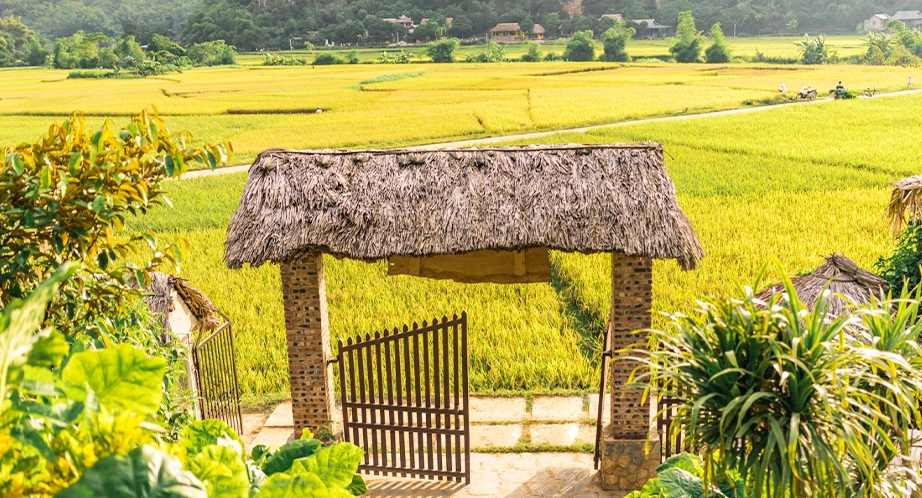 Mai Chau Valley