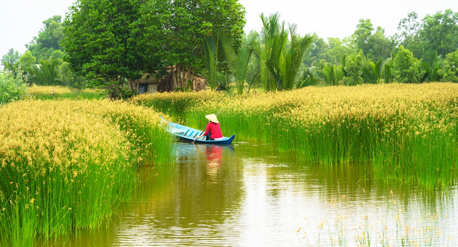 Sampan cruise in Mekong River