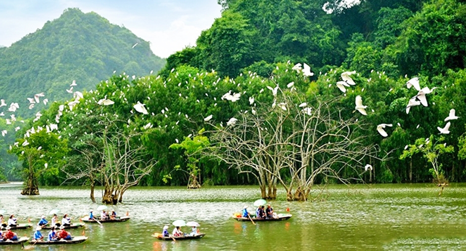 Sampan cruise in Thung Nham (Ninh Binh)