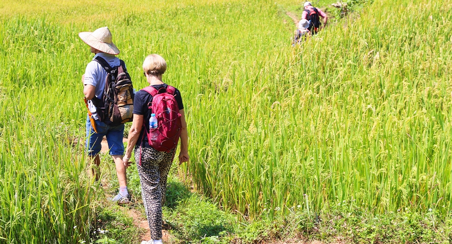 Trekking in Mai Chau