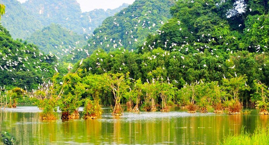 Thung Nham Bird Park