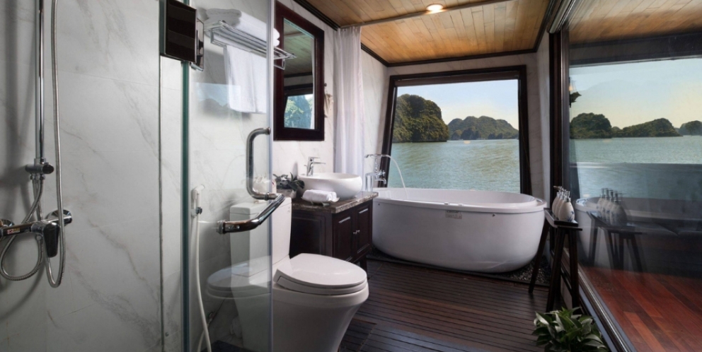 Bathroom with panoramic cruise