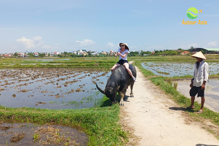 Buffalo riding