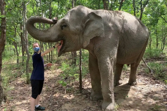 Phnom Tamao Wildlife Rescue Center is the destination at the end of the 7 days in Cambodia itinerary