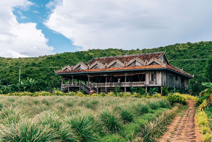 Discover the famous Kampot pepper at La Plantation