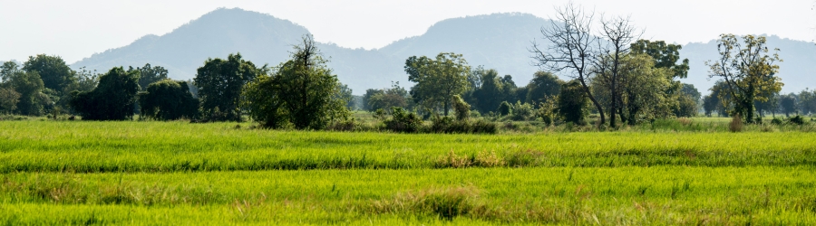 Where to trek in Battambang?