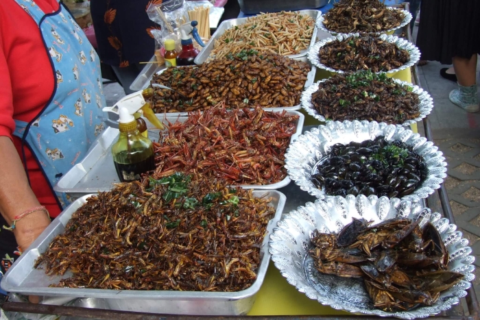 Discover one of Cambodia's most fascinating culinary curiosities: fried insects in Battambang