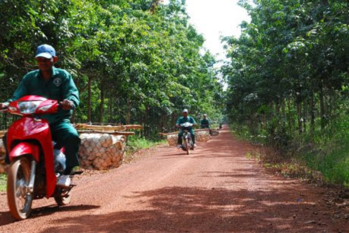 The characteristic red soil terrain of the Ratanakiri region, Cambodia