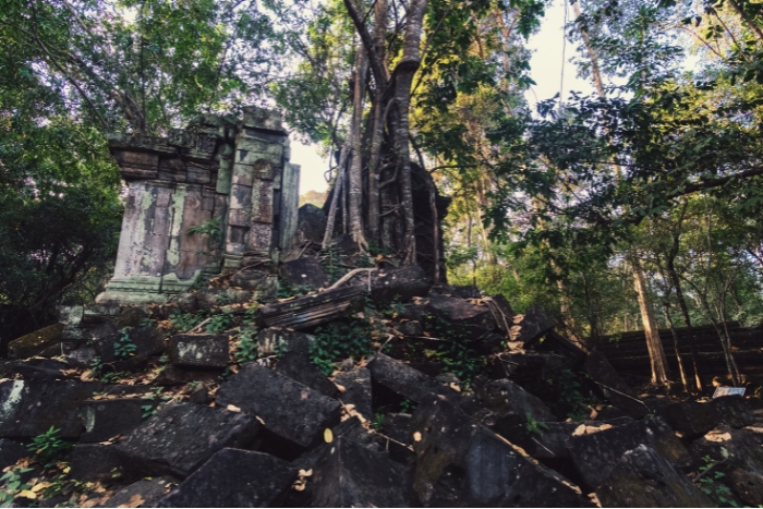 Beng Mealea, a temple lost in the jungle