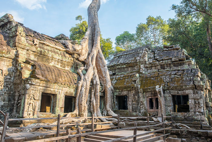 Ta Prohm