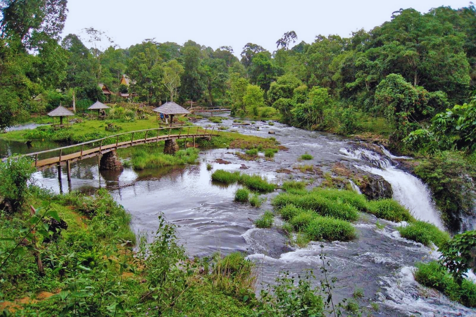 Best Time to Visit the Bolaven Plateau