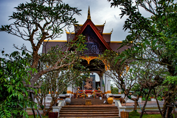 Sacred Manikhoth Tree, displayed in the museum near Khone Phapheng