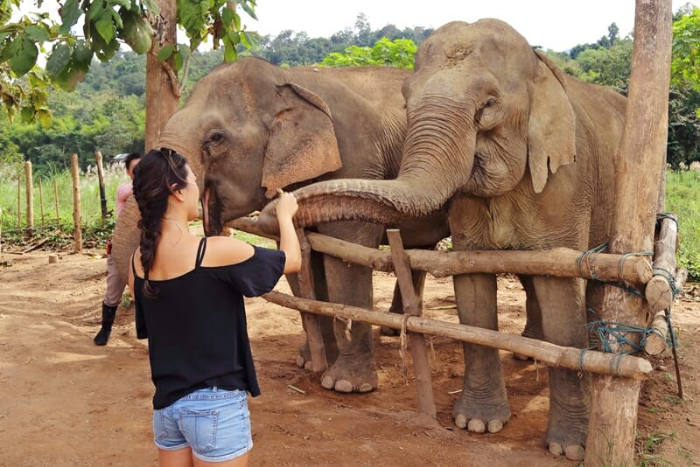 Discover the Mandalao Elephant Conservation Center, in Luang Prabang