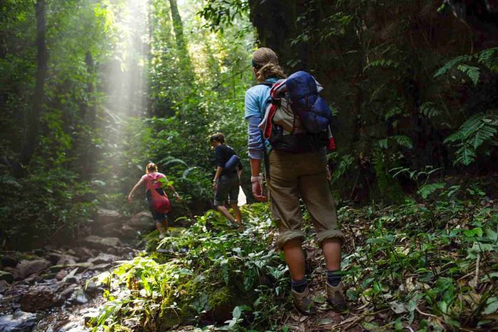 Make sure to bring sports shoes if you plan to trek in Laos