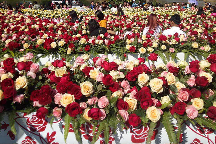  Waso Flower Festival