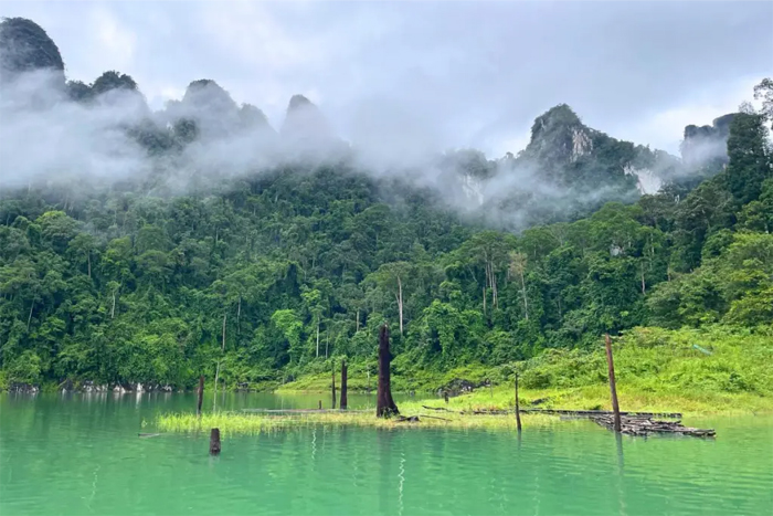 Khao Sok National Park