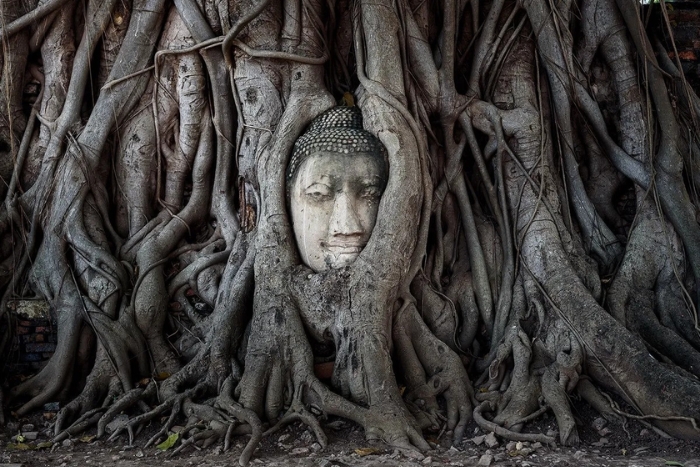 Wat Mahathat, Ayutthaya, Thailand