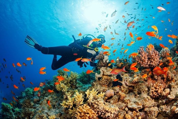 Phuket is also a great place to dive during the 15-day Thailand tour