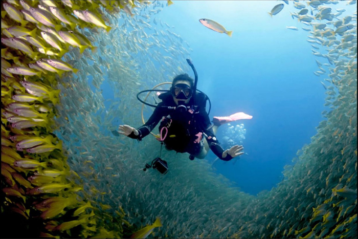 A diving day at Phi Phi Don is an experience not to be missed!