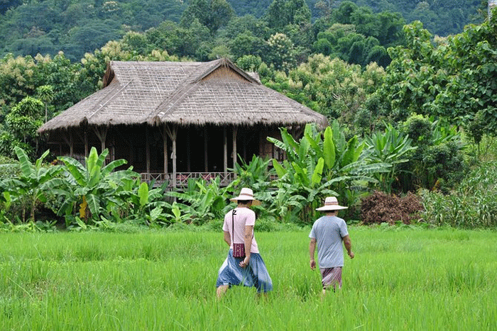 How to live like the locals in Chiang Mai ?