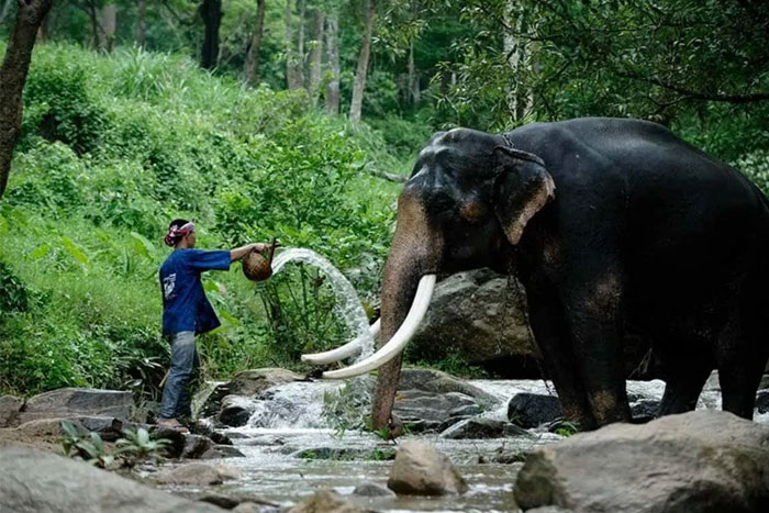 Trekking to Samoeng Loop 