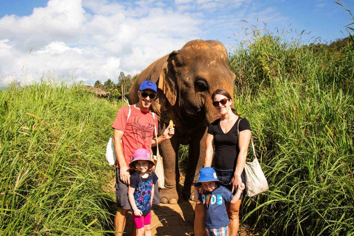 A visit to Elephant Nature Park in Chiang Mai