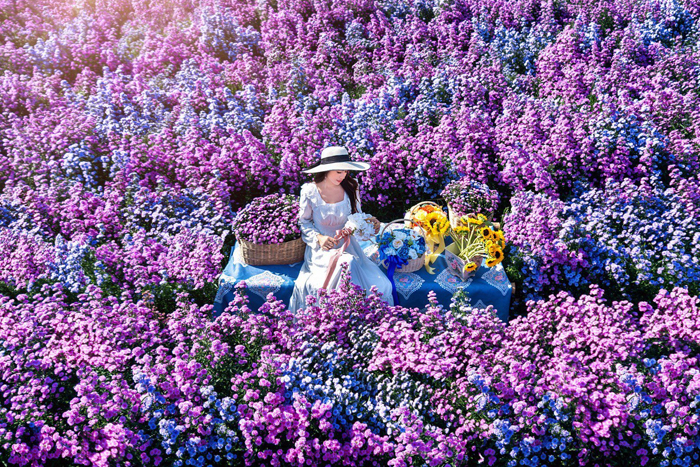 Chiang Rai Flower Festival - Thailand