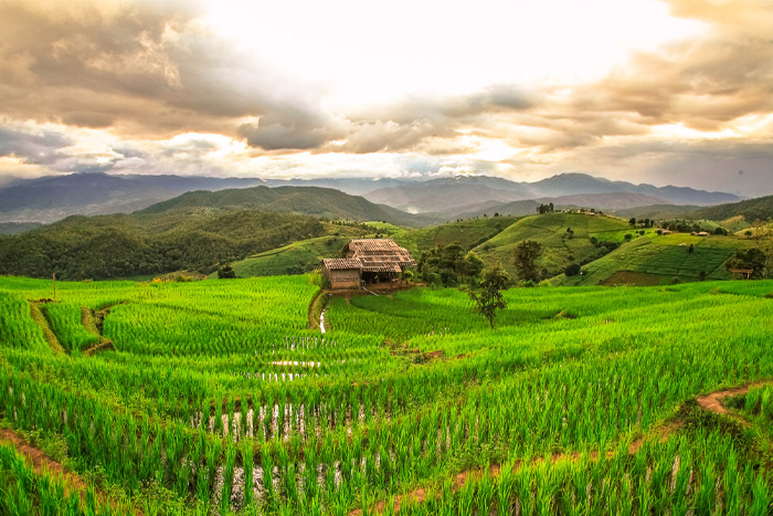 The rainy season in Chiang Rai