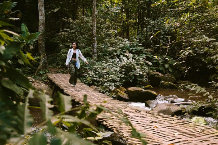 Hike through the jungle