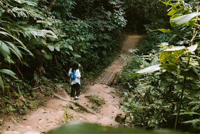 Trekking to Khun Korn National Park